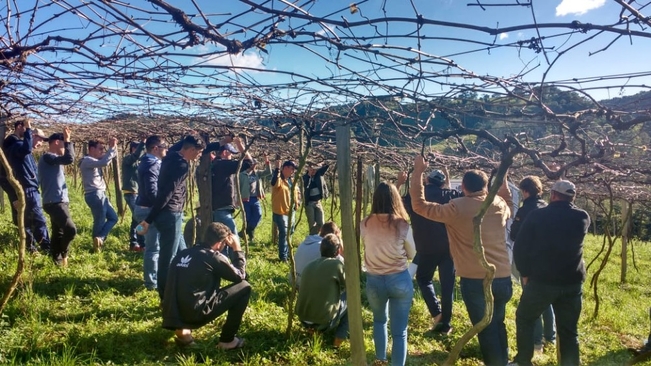 Dia de Campo sobre Viticultura ocorre em Alpestre