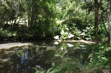 Foto - TURISMO RURAL