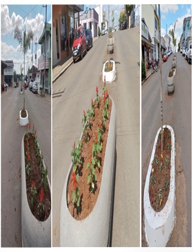  Revitalização dos canteiros