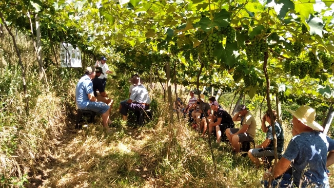 Tarde de Campo na comunidade de Farinhas 