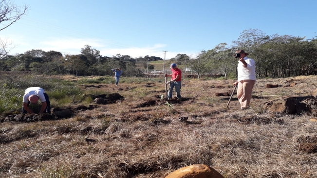 Mudas de espécies nativas são plantadas no loteamento social Valdomiro Dorigon
