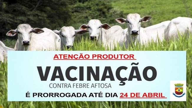 Prazo de vacinação da aftosa vai até 24 de abril