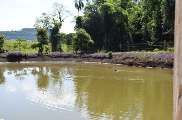 Foto - TURISMO RURAL