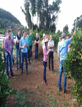 Tarde de Campo sobre citricultura 