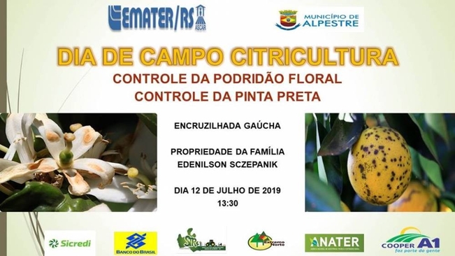 Dia de campo voltado a citricultura ocorre em Alpestre